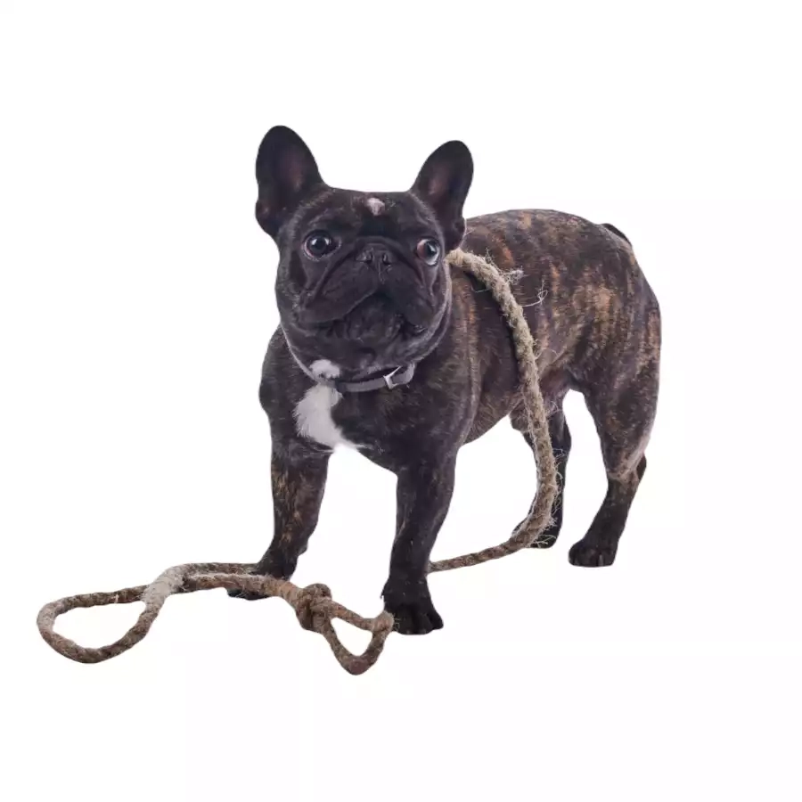 Smycz z liny konopnej rozmiar M-L