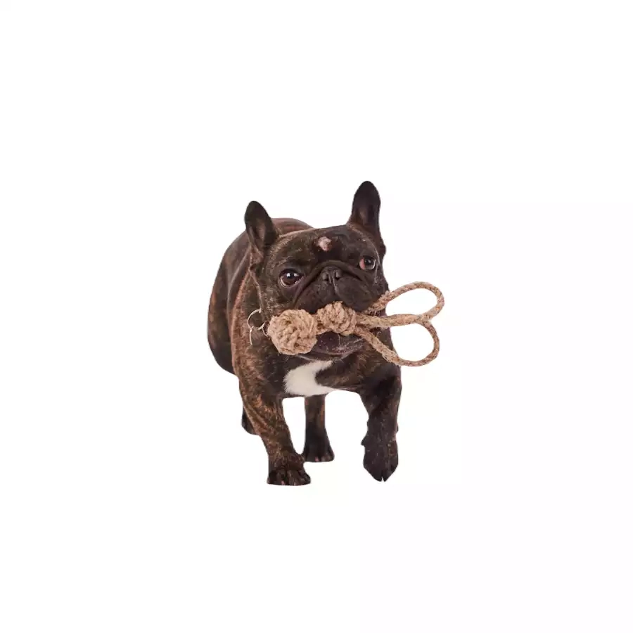 Królik ze sznura konopnego rozmiar S