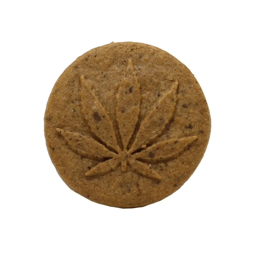 Czekoladowe ciasteczka Euphoria – kakao i konopie w jednym